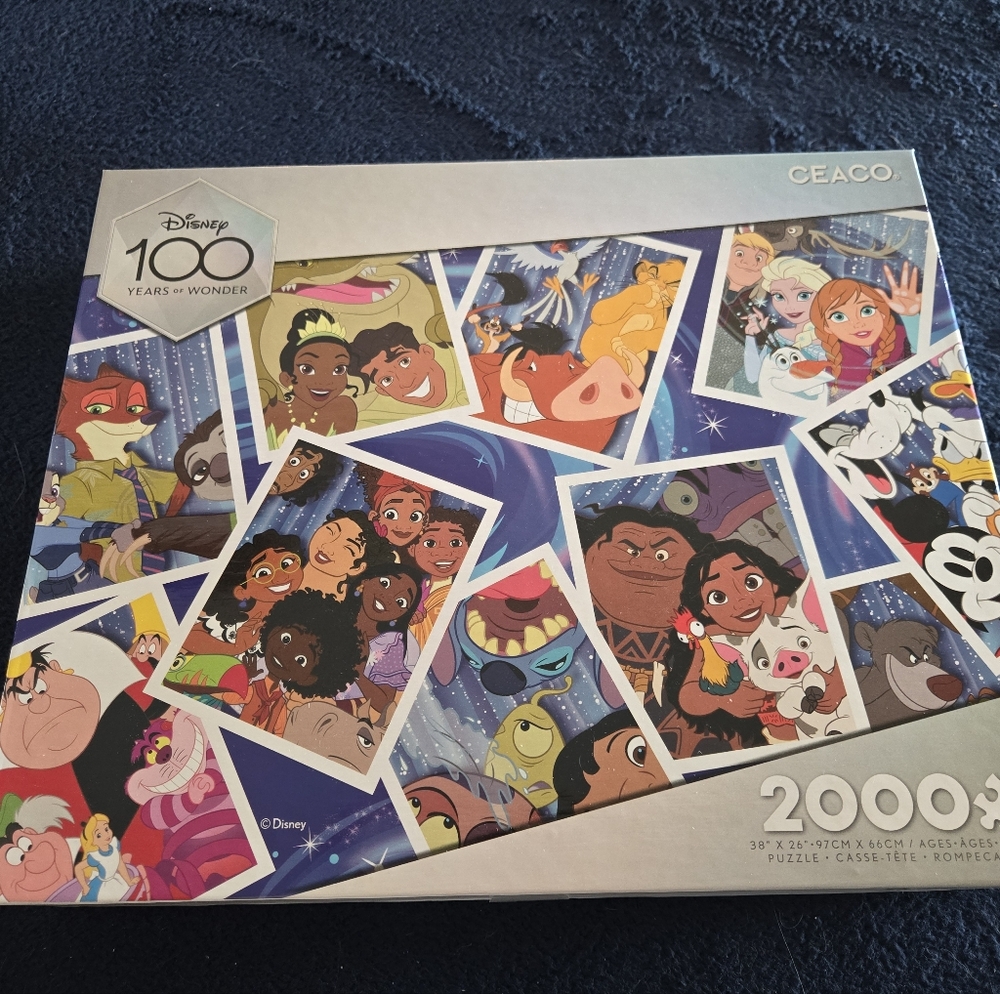 Disney 100 Years of Wonder Puzzle